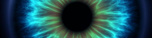 How the Eye Works How the Eye Works